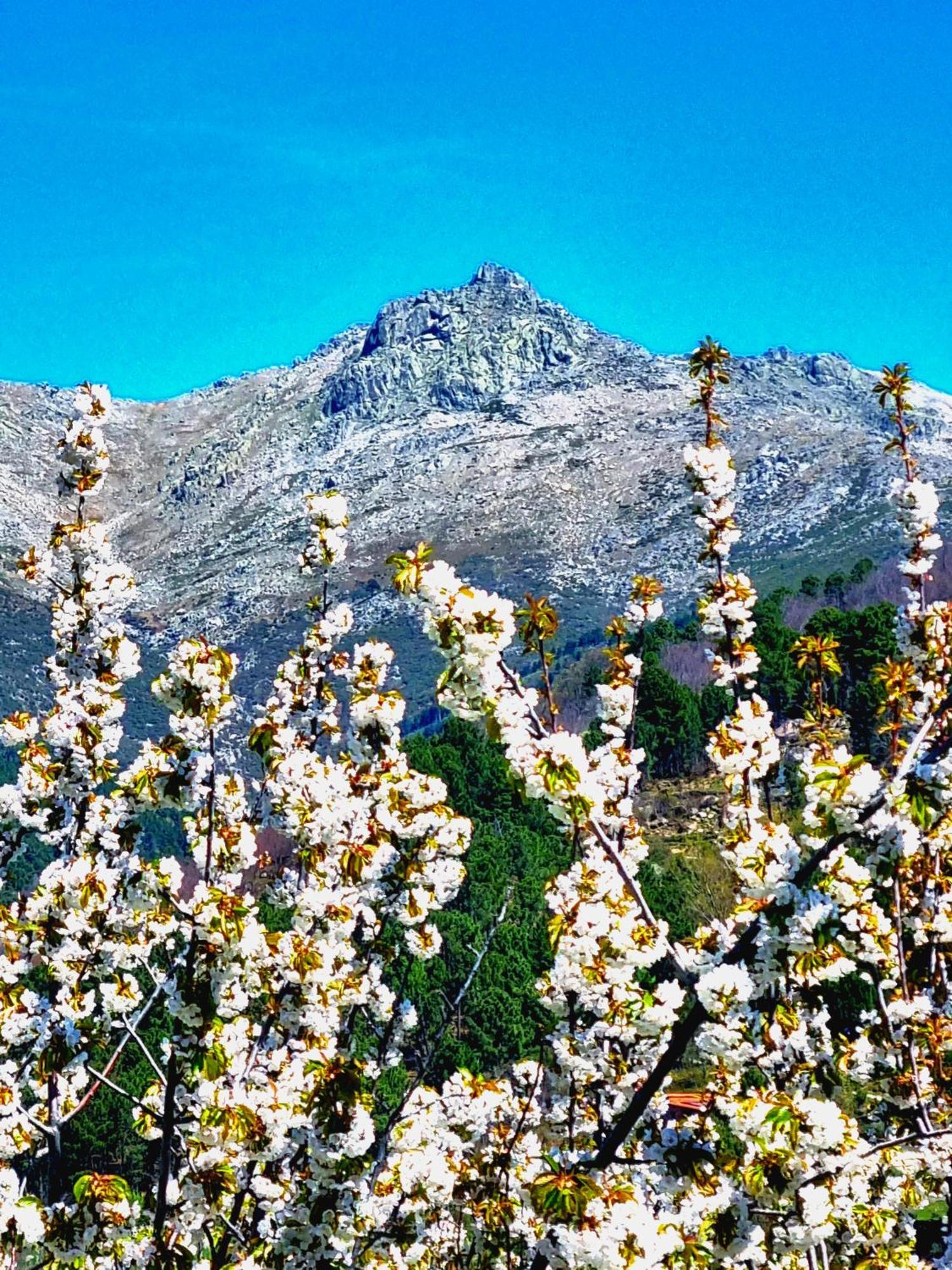 Albareilla By #Cherrygredos El Arenal  Exterior foto